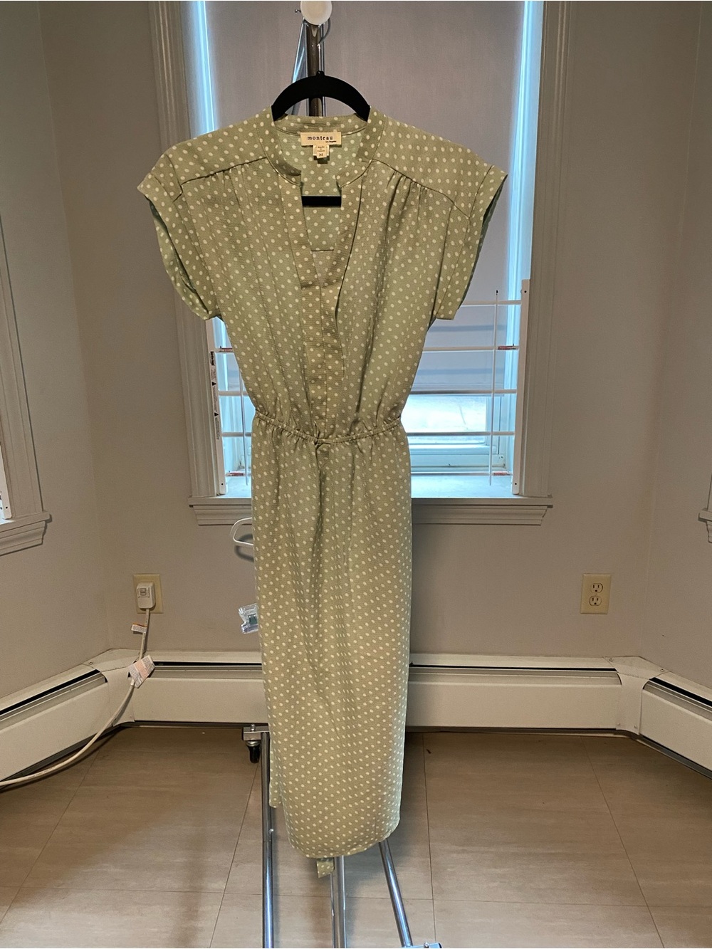 Madewell Sage Green Polka Dot Maxi Dress